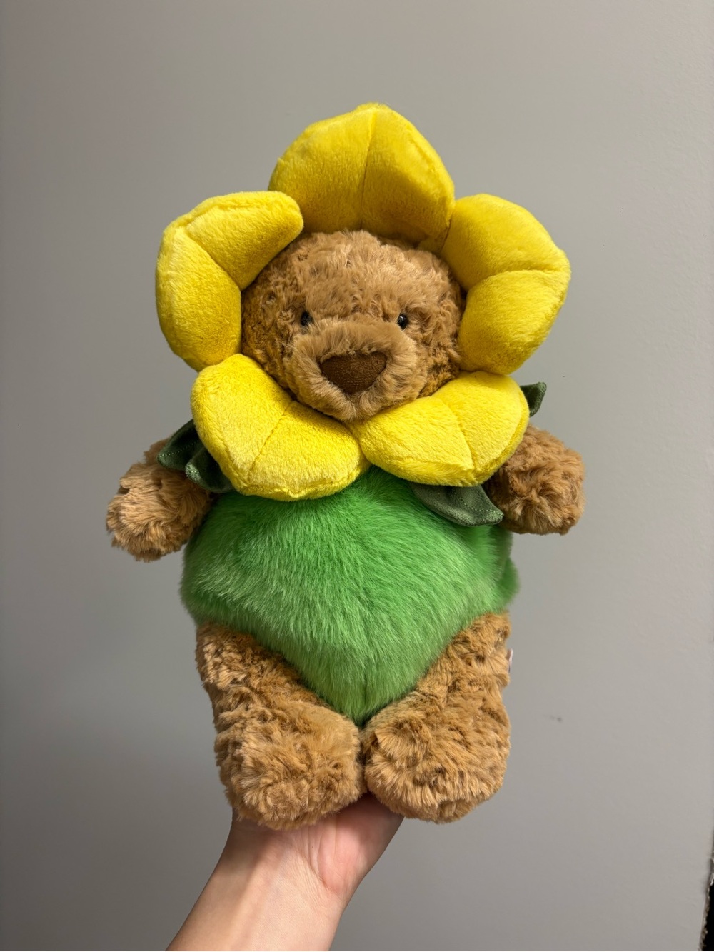 Daffodil bart bear jellycat
